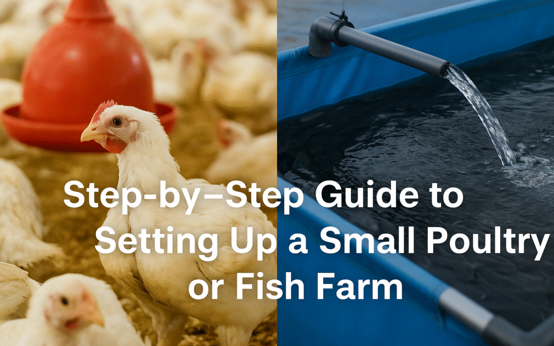 Step-by-Step Guide to Setting Up a Small Poultry or Fish Farm