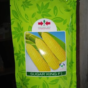 Maize Seed (Sugar King F1)