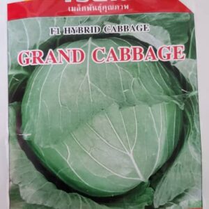 Cabbage